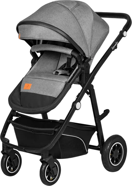 Коляска дитяча 3 в 1 Lionelo Bianka Grey Stone